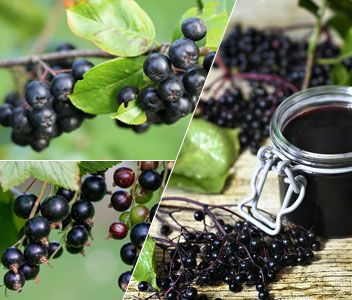 Odoo Bild- und Textblock