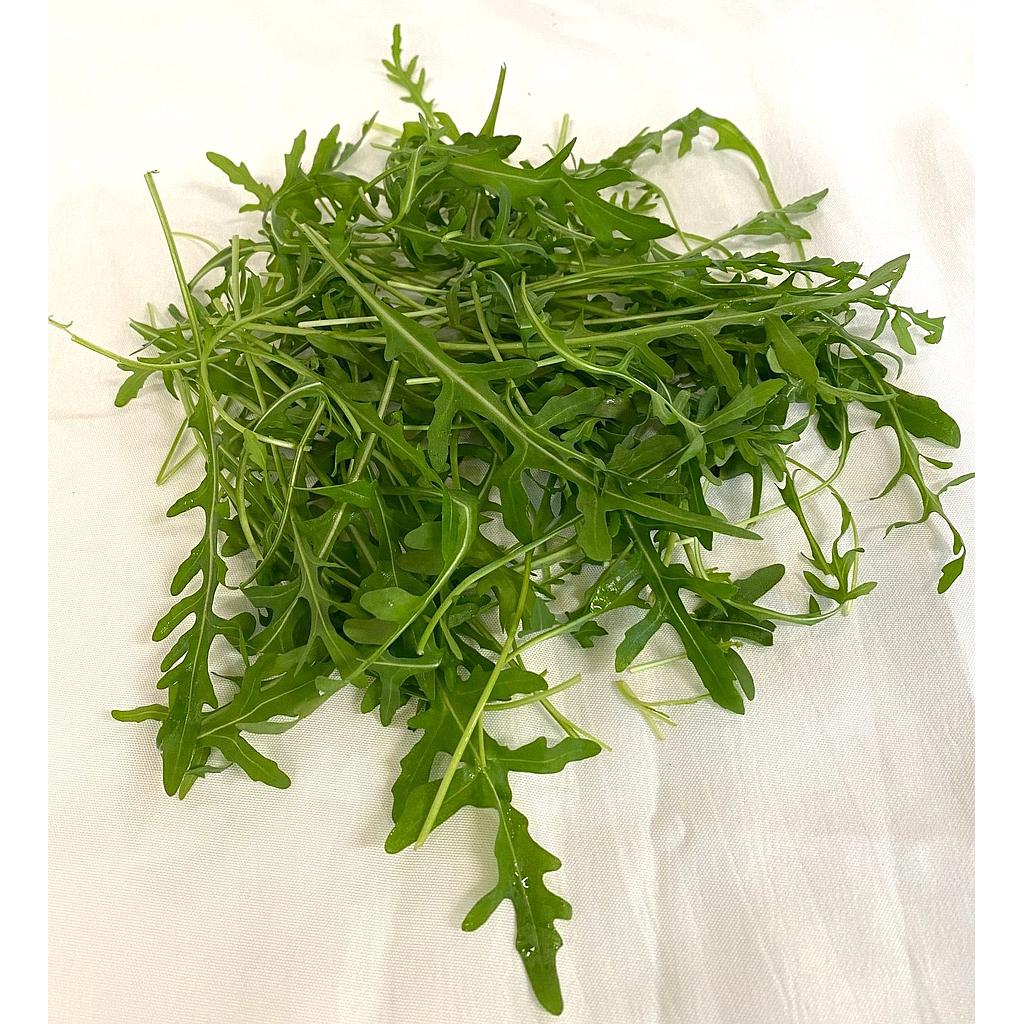 Rucola 100g